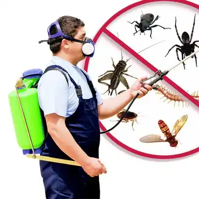 pest control Geneva